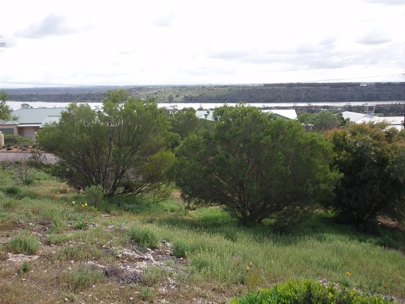 26 Arnold Court, Nildottie SA 5238