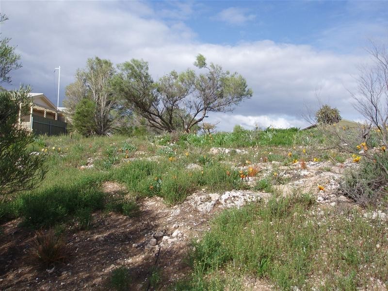 26 Arnold Court, Nildottie SA 5238