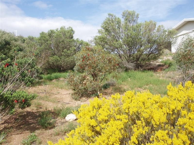 26 Arnold Court, Nildottie SA 5238