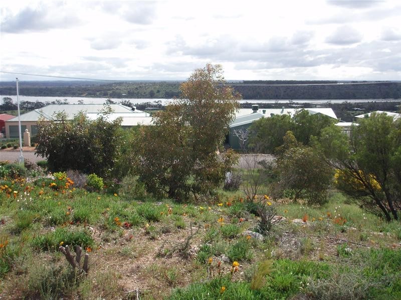 26 Arnold Court, Nildottie SA 5238