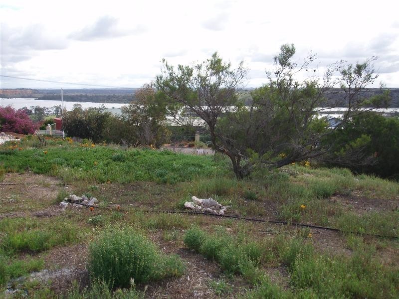 26 Arnold Court, Nildottie SA 5238