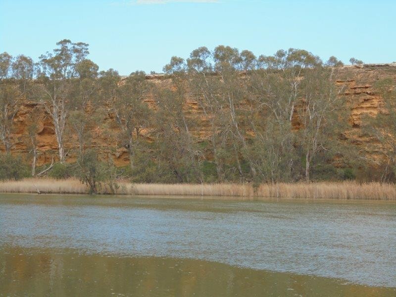 50 Riverside Road, Marks Landing, Swan Reach SA 5354