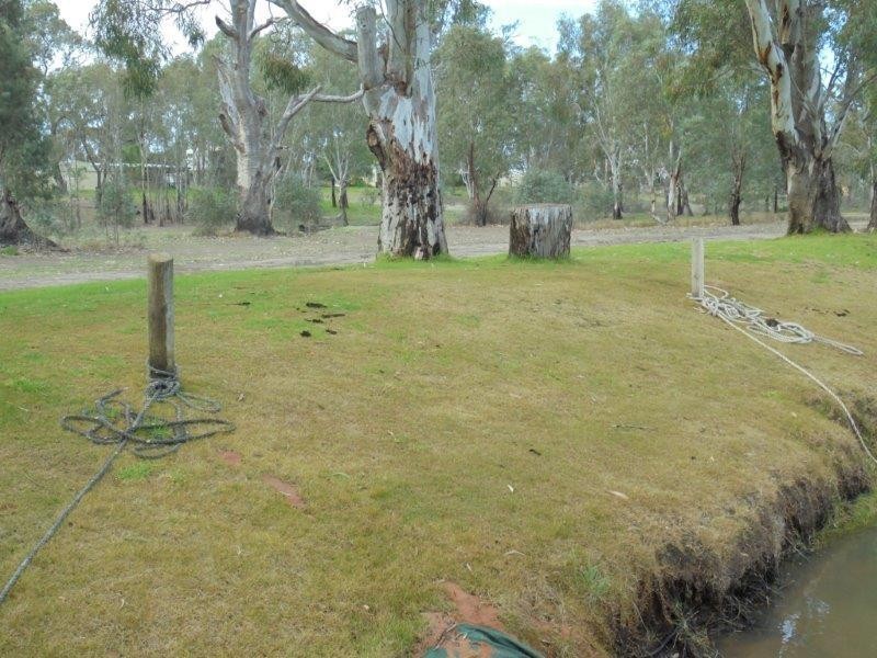 50 Riverside Road, Marks Landing, Swan Reach SA 5354