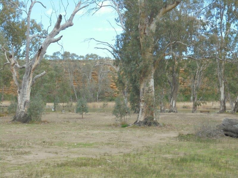 50 Riverside Road, Marks Landing, Swan Reach SA 5354