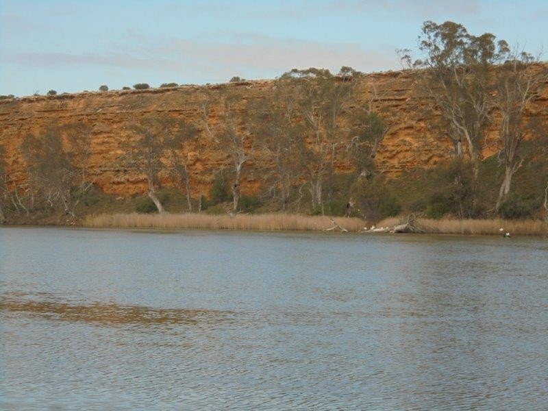 50 Riverside Road, Marks Landing, Swan Reach SA 5354