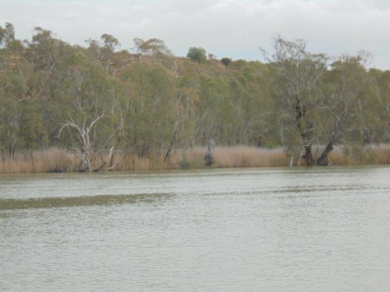 50 Riverside Road, Marks Landing, Swan Reach SA 5354