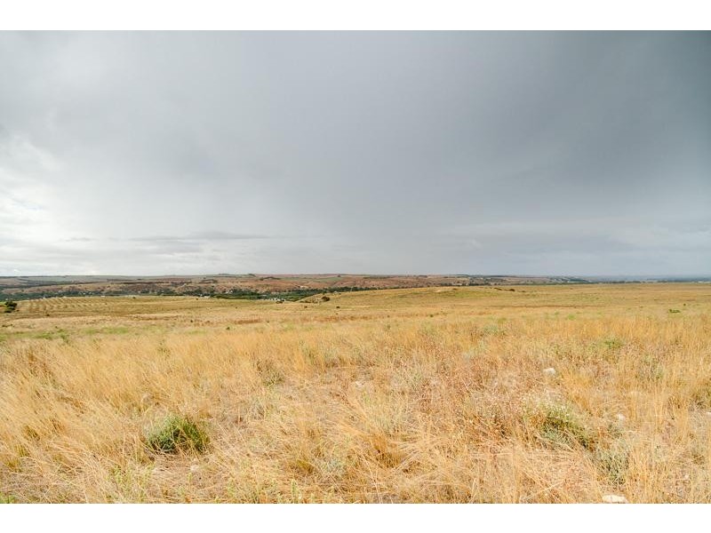 102 Purnong Road, Mannum SA 5238