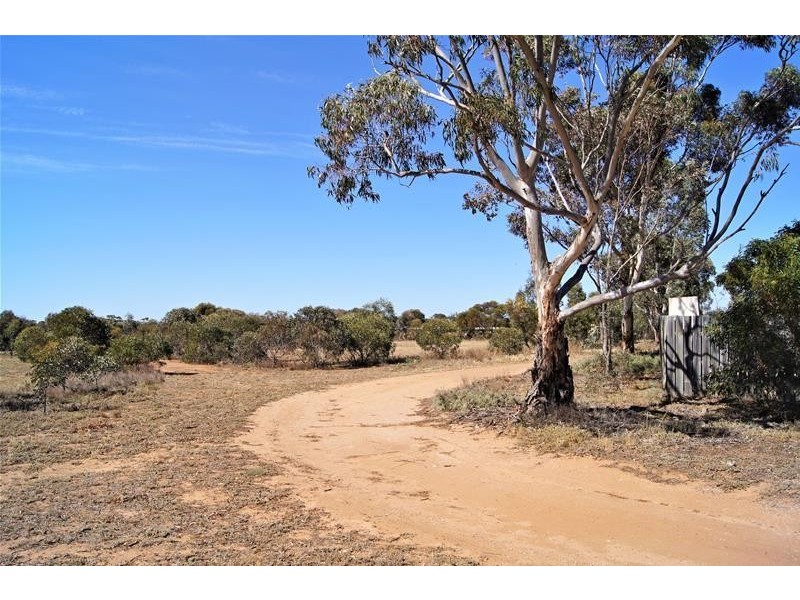 34 Ridley Road, Mannum SA 5238