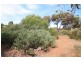 Lot 2 Curio Road, Cambrai SA 5353