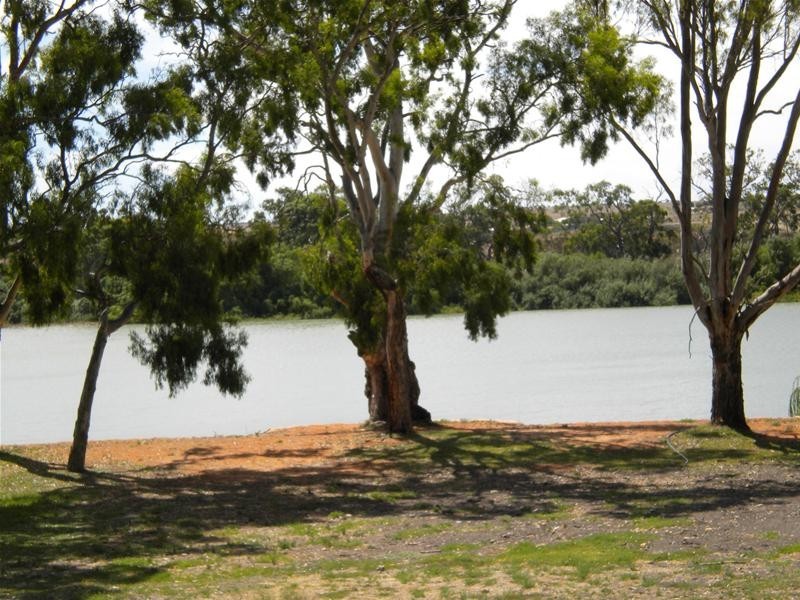 117 River Lane, Mannum SA 5238