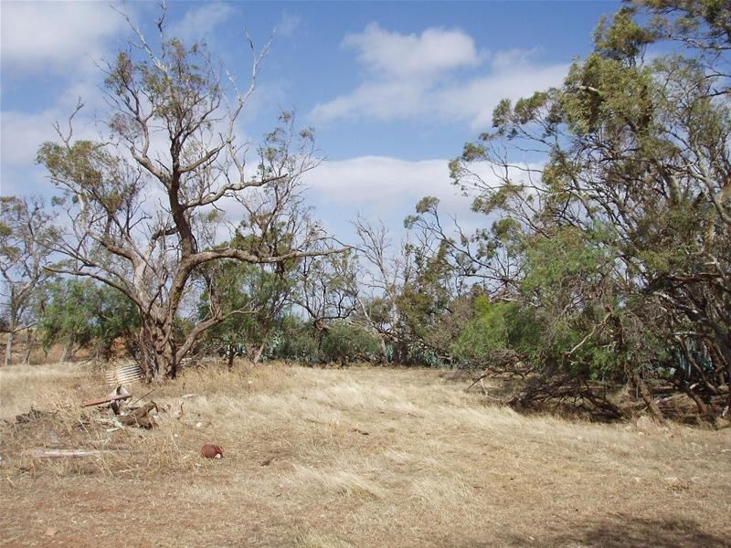 Lot 111 Bank Road, Sedan SA 5353