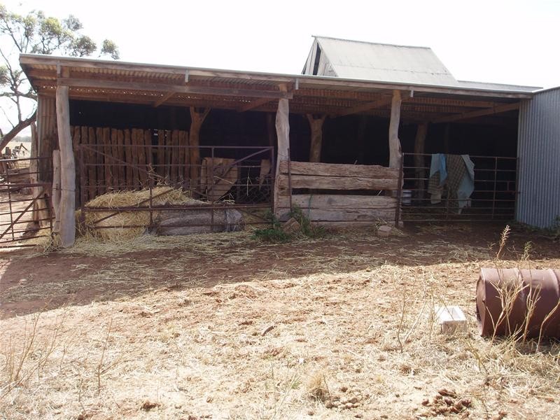 Lot 111 Bank Road, Sedan SA 5353