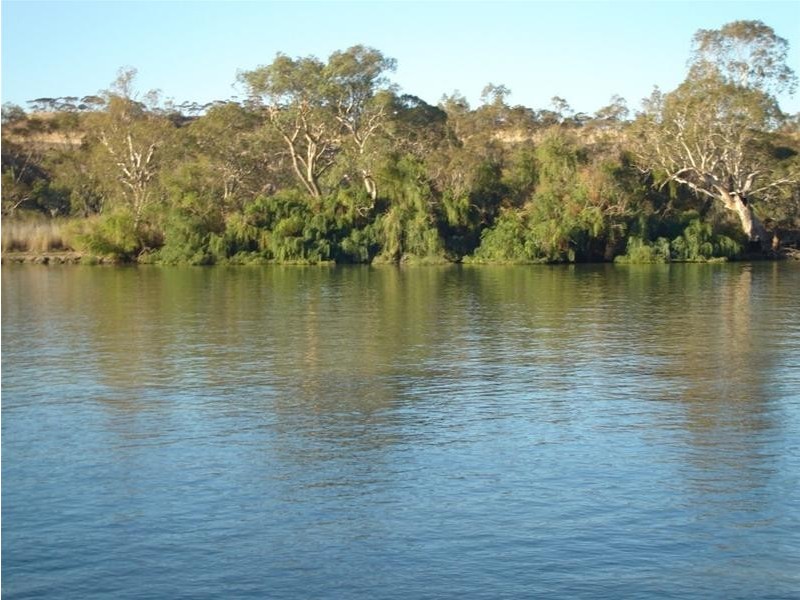 Site 5 Younghusband Holdings, Younghusband SA 5238