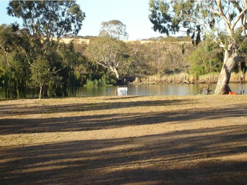 Site 5 Younghusband Holdings, Younghusband SA 5238