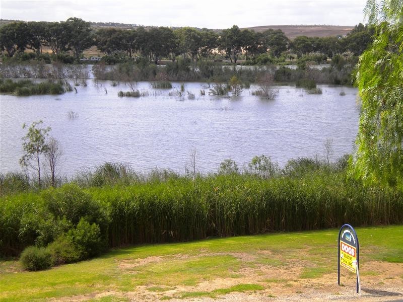 19A Purnong Road, Mannum SA 5238