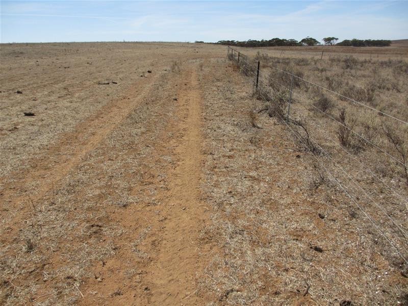 Lot 1 Havelberg Road, Black Hill SA 5353