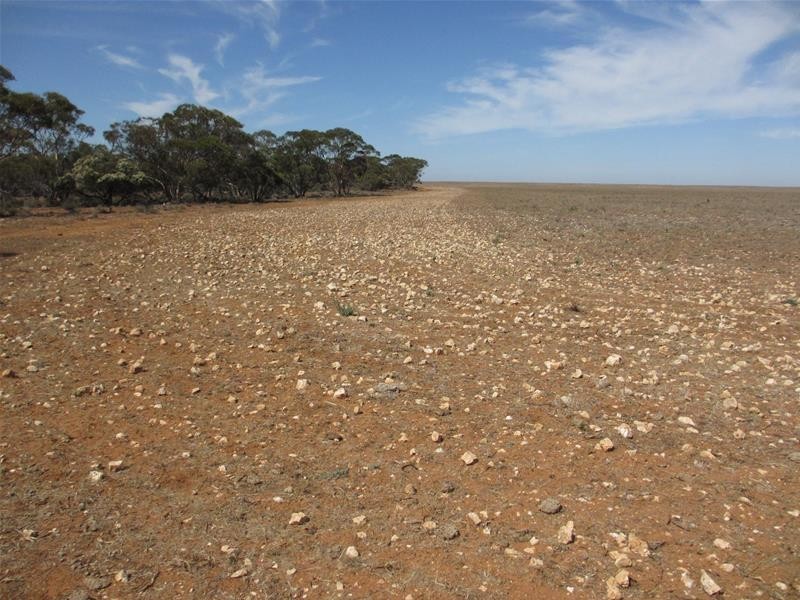 Lot 1 Havelberg Road, Black Hill SA 5353