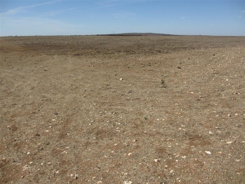 Lot 1 Havelberg Road, Black Hill SA 5353