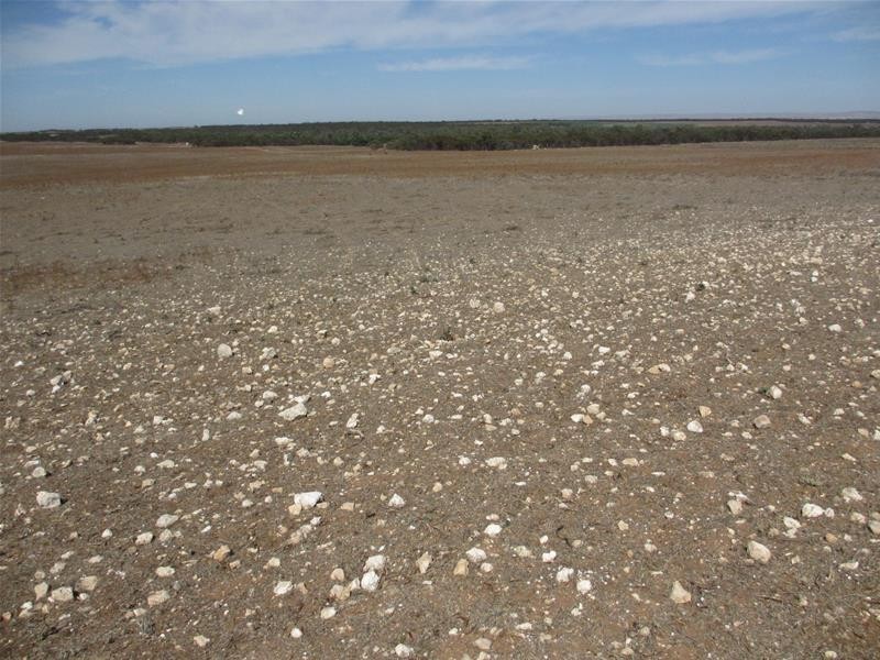 Lot 1 Havelberg Road, Black Hill SA 5353