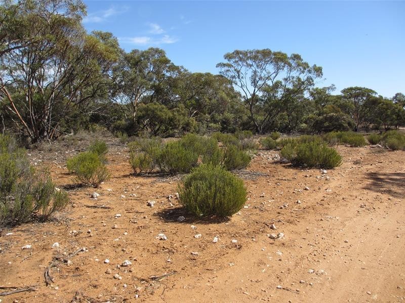 Lot 1 Havelberg Road, Black Hill SA 5353