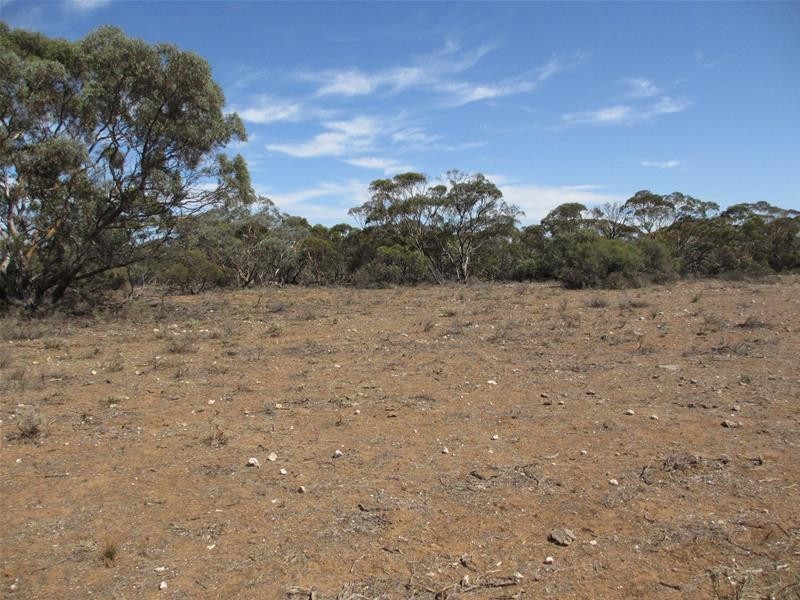 Lot 1 Havelberg Road, Black Hill SA 5353