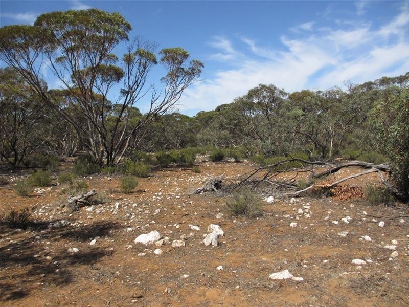 Lot 1 Havelberg Road, Black Hill SA 5353