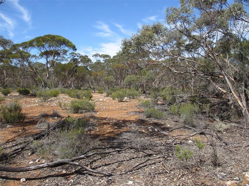 Lot 1 Havelberg Road, Black Hill SA 5353