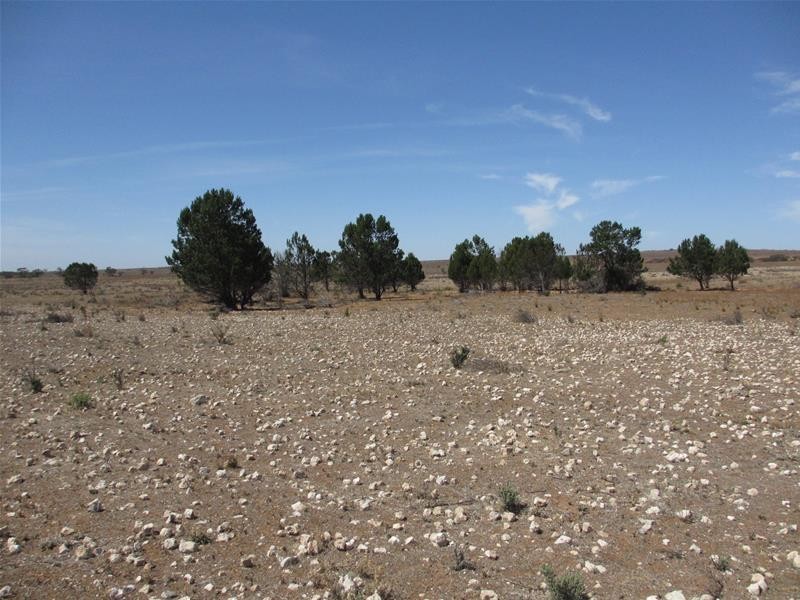 Lot 1 Havelberg Road, Black Hill SA 5353