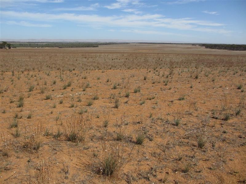 Lot 1 Havelberg Road, Black Hill SA 5353