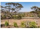 46 Gass Street, Mannum SA 5238