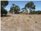 Lot 294 Curio Road, Mannum SA 5238