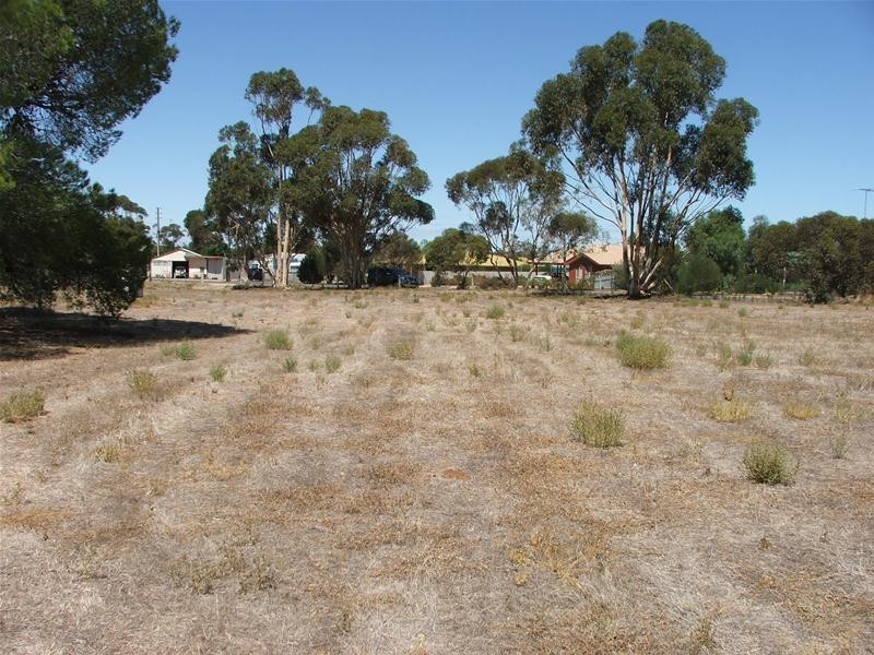 Lot 294 Curio Road, Mannum SA 5238