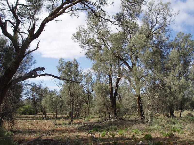 2 & 409 Notts Well Road NEW WELL via, Blanchetown SA 5357