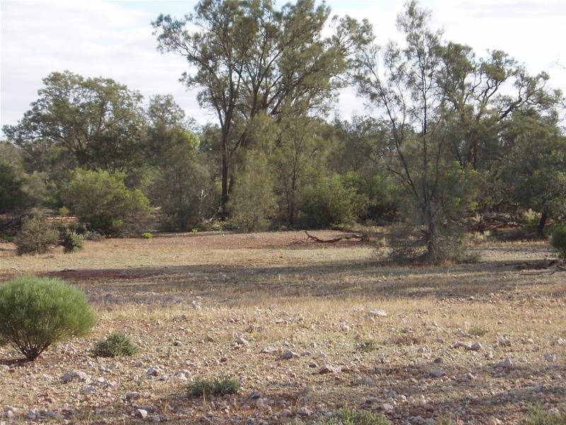 2 & 409 Notts Well Road NEW WELL via, Blanchetown SA 5357