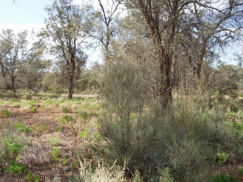 2 & 409 Notts Well Road NEW WELL via, Blanchetown SA 5357