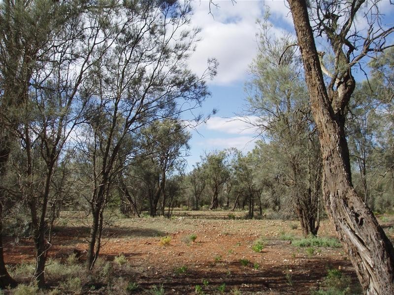 2 & 409 Notts Well Road NEW WELL via, Blanchetown SA 5357