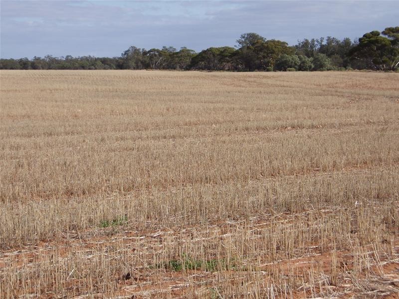 2 & 409 Notts Well Road NEW WELL via, Blanchetown SA 5357