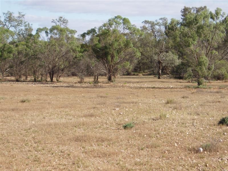 2 & 409 Notts Well Road NEW WELL via, Blanchetown SA 5357