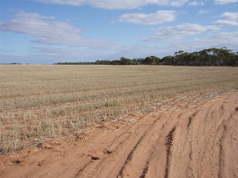 2 & 409 Notts Well Road NEW WELL via, Blanchetown SA 5357