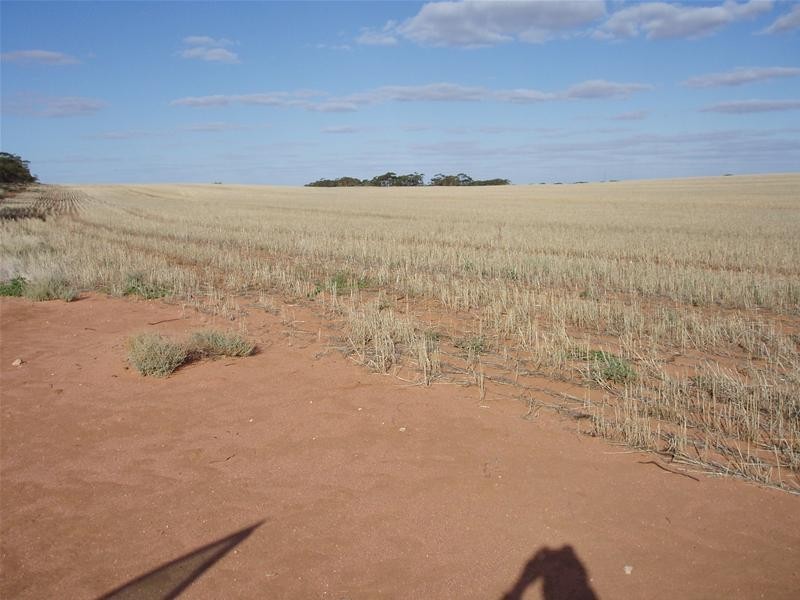 2 & 409 Notts Well Road NEW WELL via, Blanchetown SA 5357