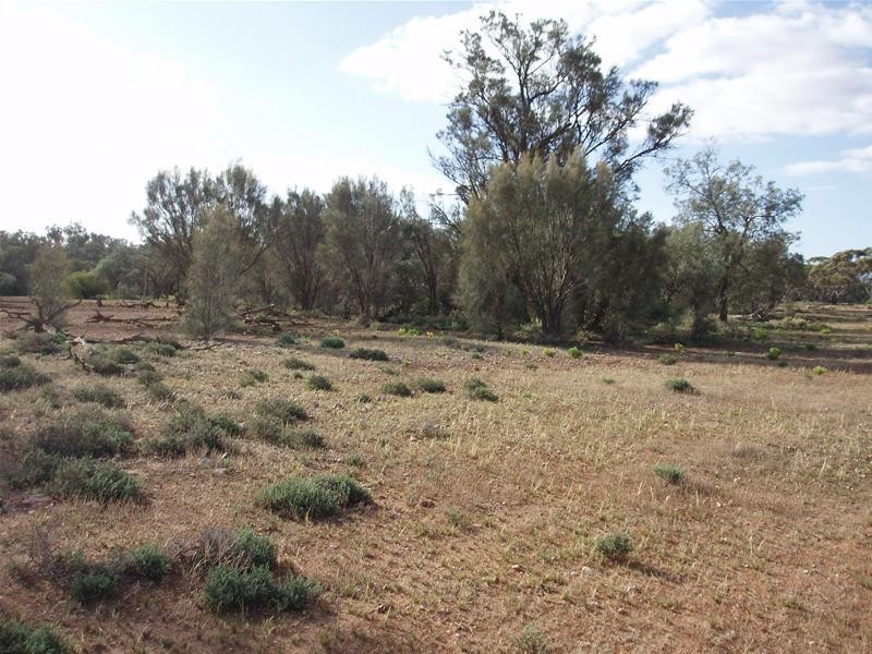 2 & 409 Notts Well Road NEW WELL via, Blanchetown SA 5357