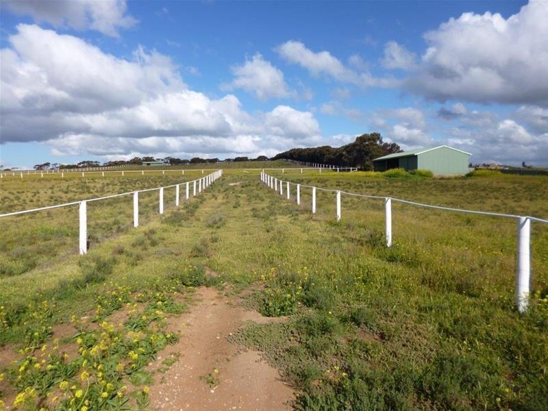 Sect 486 Flood Road, Mannum SA 5238