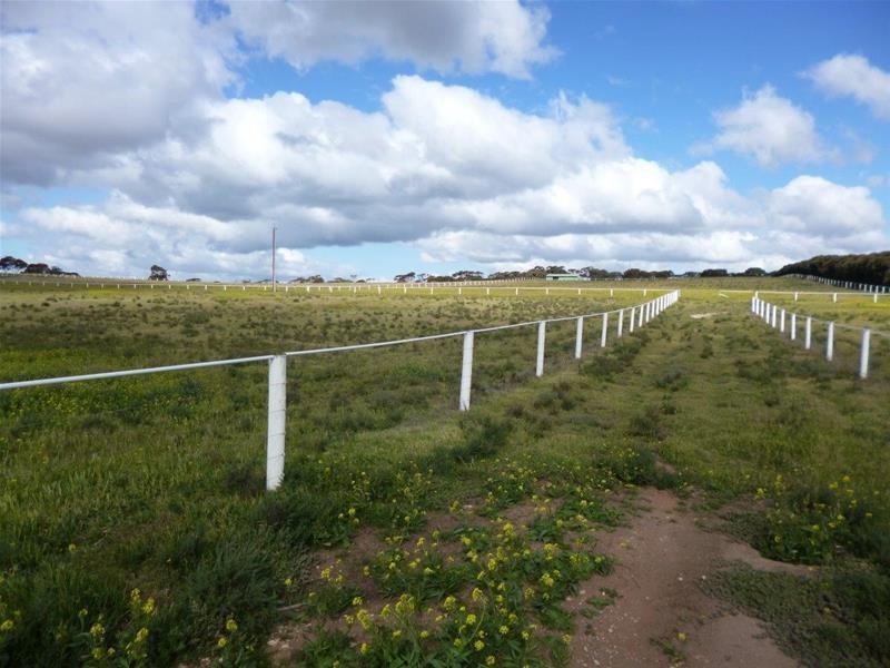Sect 486 Flood Road, Mannum SA 5238