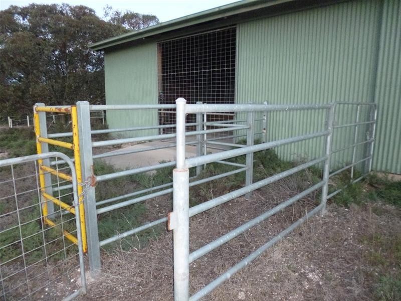 Sect 486 Flood Road, Mannum SA 5238