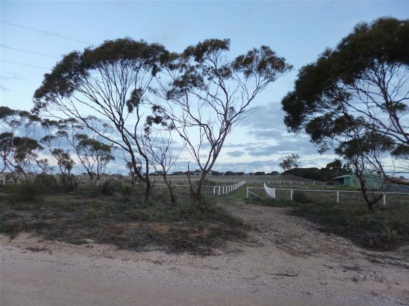 Sect 486 Flood Road, Mannum SA 5238