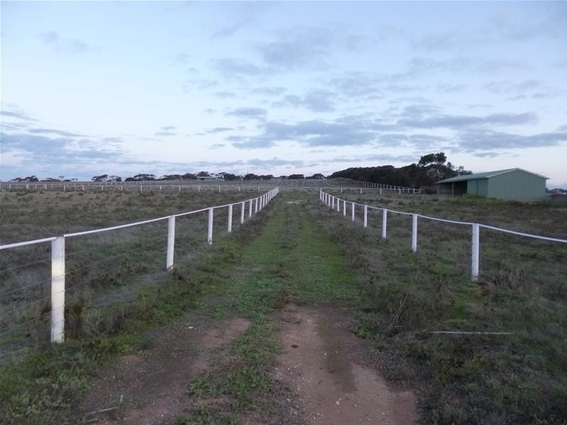 Sect 486 Flood Road, Mannum SA 5238