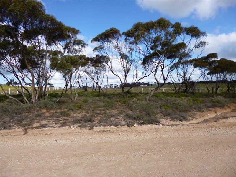 Sect 486 Flood Road, Mannum SA 5238