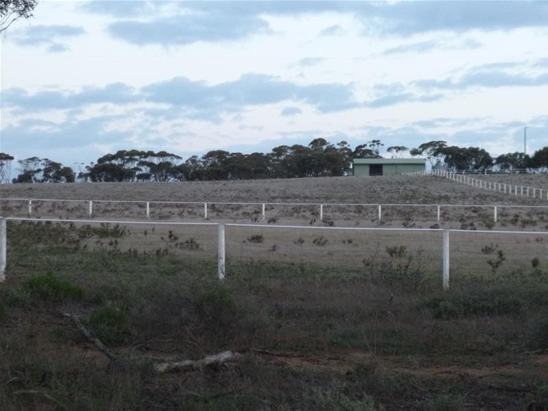 Sect 486 Flood Road, Mannum SA 5238