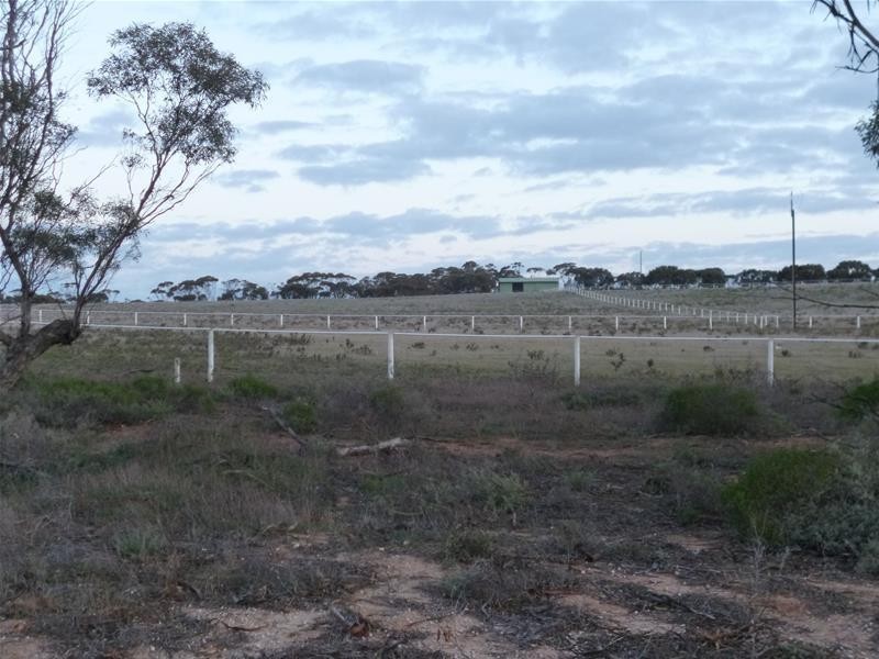Sect 486 Flood Road, Mannum SA 5238