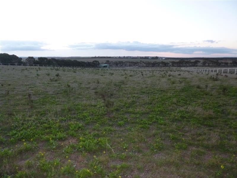 Sect 486 Flood Road, Mannum SA 5238